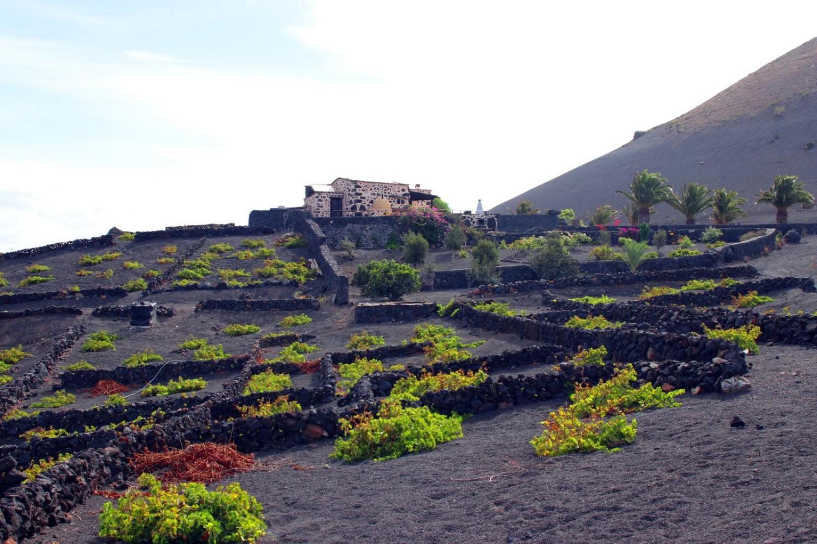 Casa Rural Vega De Timanfaya Uga Exterior foto