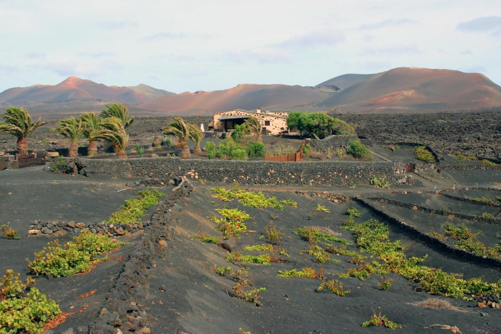 Casa Rural Vega De Timanfaya Uga Exterior foto