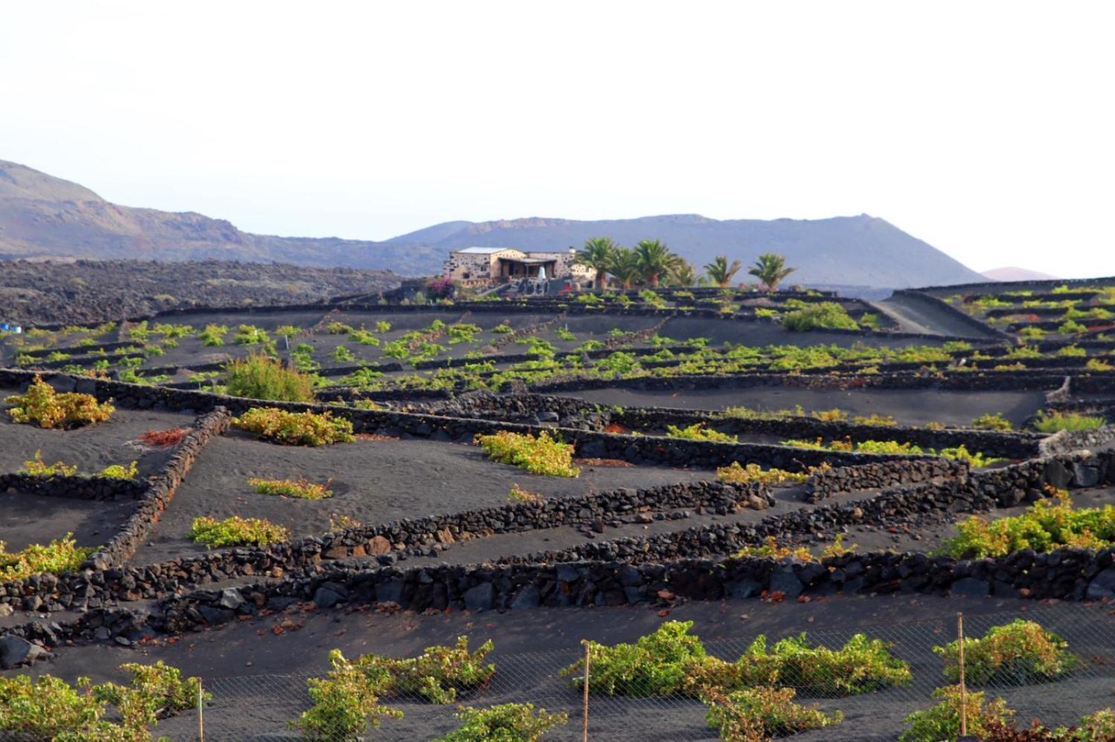 Casa Rural Vega De Timanfaya Uga Exterior foto